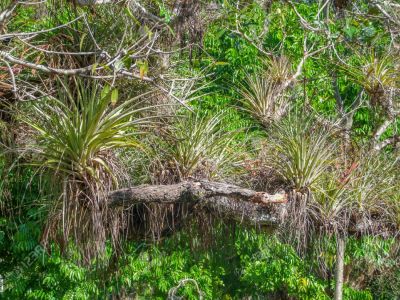 🏞️¡Ciencia en la UAM! 🌲