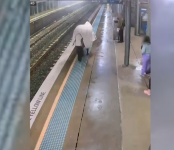 Un caballo de carreras se escapa del hipódromo y se cuela en el andén de una estación de tren
